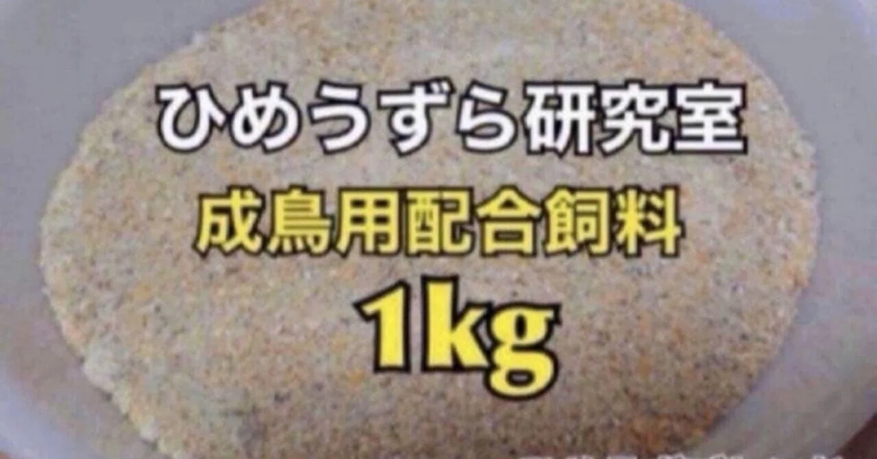 ひめうずら研究室｜日頃のご支援への感謝と、2号店（メルカリ店）開設