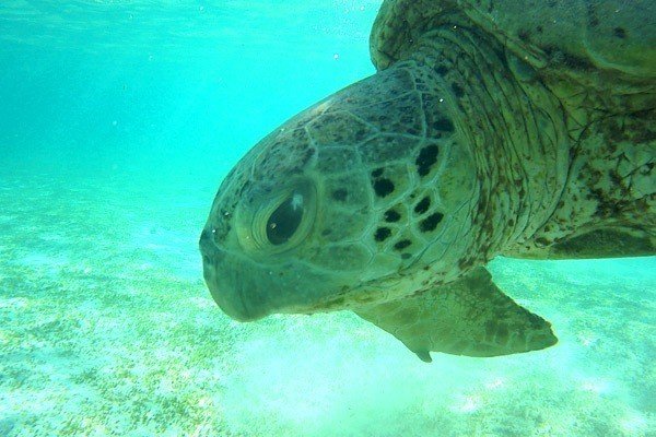 与論島民がおすすめする絶景ビーチ 7ヵ所あります ジャッキー 与論島を広めたい人 Note