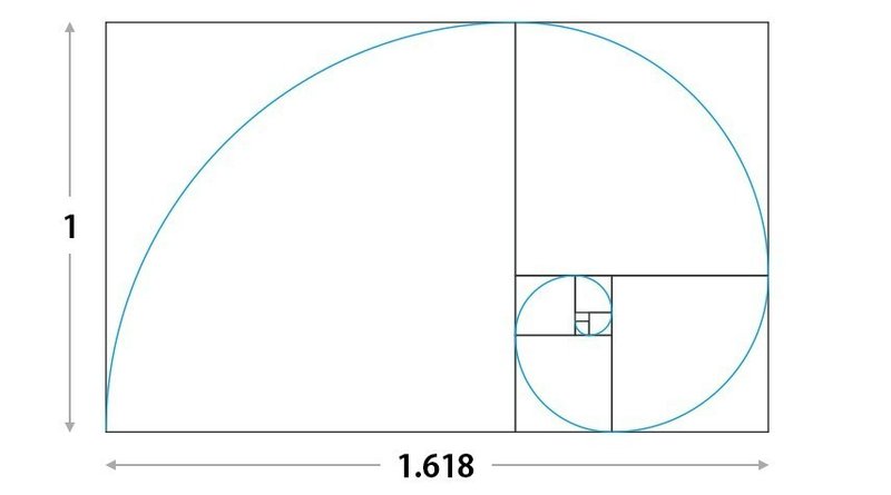 黄金螺旋４