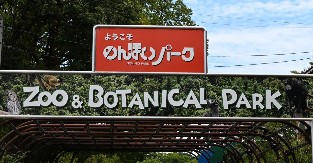 20260801_豊橋総合動植物公園（のんほいパーク）【Nikon Z50IIと動物園