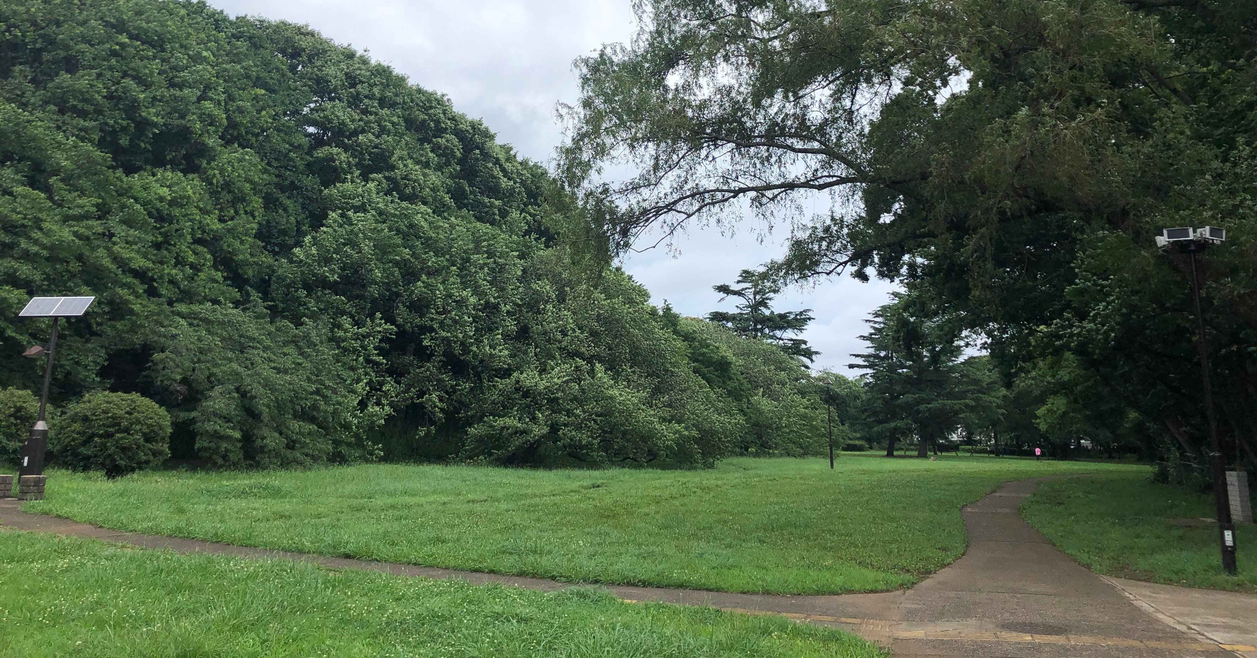 習慣にしていること ランニングとリフティングとその結果のダイエット Etotakashi Note