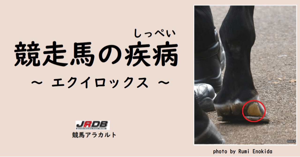 馬の緊急治療ハンドブック/ＥＤＵＷＡＲＤ　Ｐｒｅｓｓ/エレノア・Ｍ．ケイロン（単行本） 馬の緊急治療ハンドブック/EDUWARD Press/エレノア