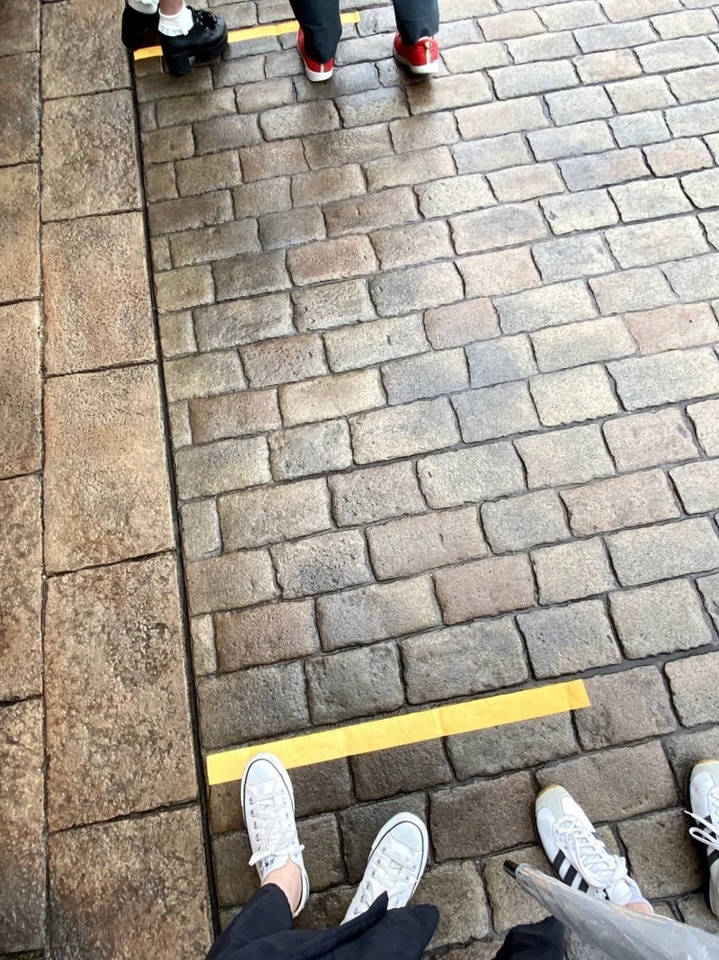 とにかく人がいない 再開初日の東京ディズニーシーへ Akiyo Note