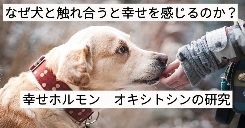 なぜ犬と触れ合うと幸せを感じるのか 幸せホルモン オキシトシンの研究 サイエンスジャーナリスト ユウキ Note