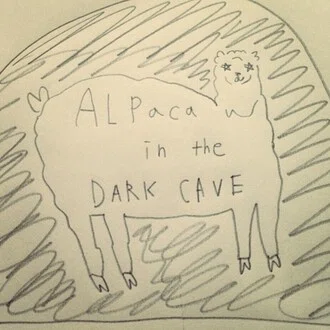 ALPaca🦙