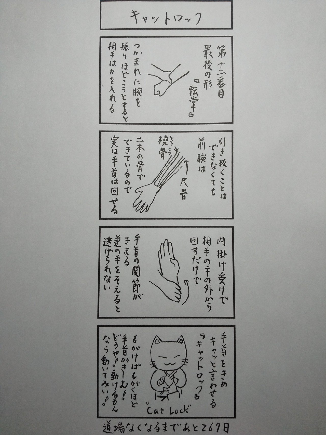 キャットロック 剛柔流拳剛館 Note キャットロック 剛柔流拳剛館 Note