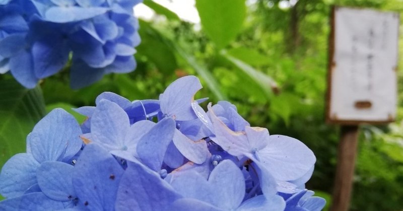 秋田市下浜にある ガーデンおおとも らっしー Note 秋田市下浜にある ガーデンおおとも らっしー Note