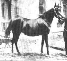 競馬の歴史」を学ぶ ~10年ごと1頭だけ選んでみた~【1860 競馬の歴史」を学ぶ ~10年ごと1頭だけ選んでみた~【1860