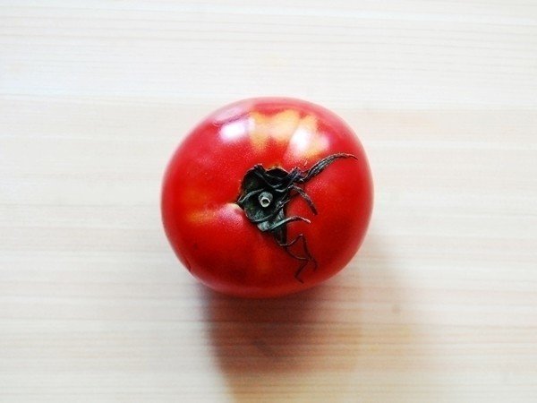 熊本産トマト消費無期限増量中のやすのりです、こんちは。