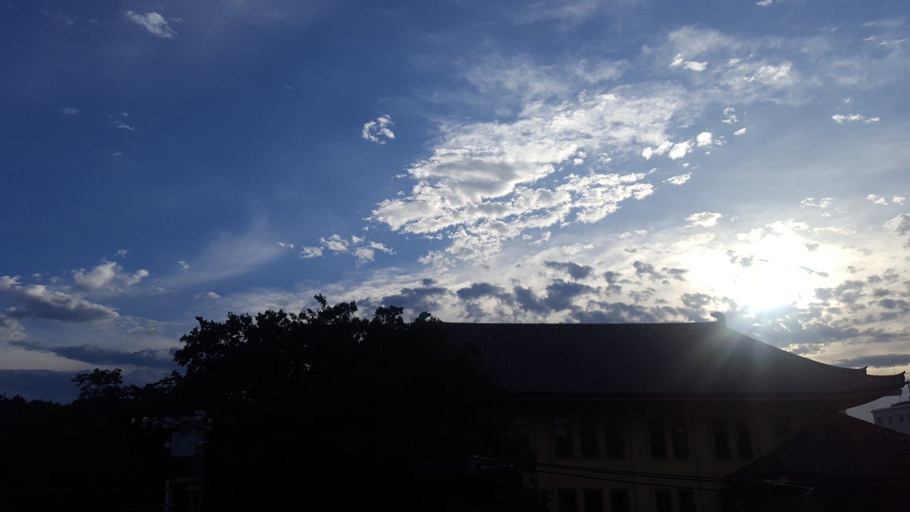 東京 今日の晴れ間 まい Note 東京 今日の晴れ間 まい Note