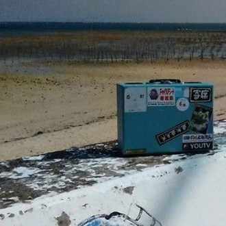 春の居場所 Pulnocpulnoc Note