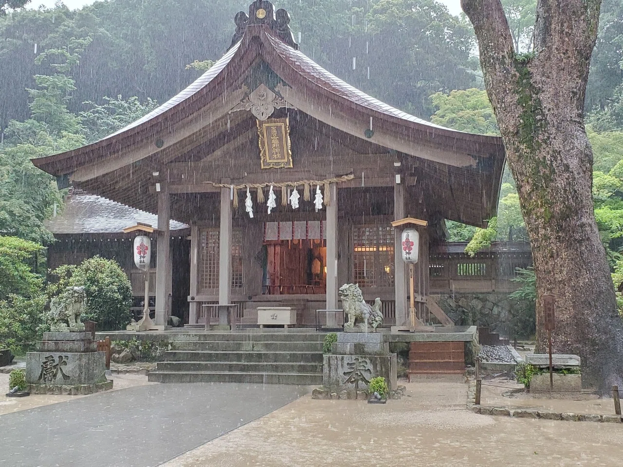 雨の竈門神社 年7月6日 Kaopao Note