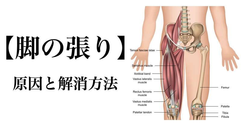 太ももの前側 横側の張り感の原因 解消方法について 薬師寺偲 理学療法士 ピラティス Note