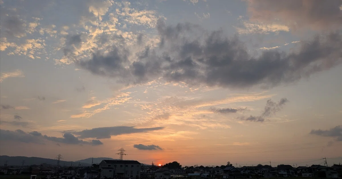 草々の近況報告と、後半の展示のお知らせ。｜きょうこ｜暮らしとうつわ