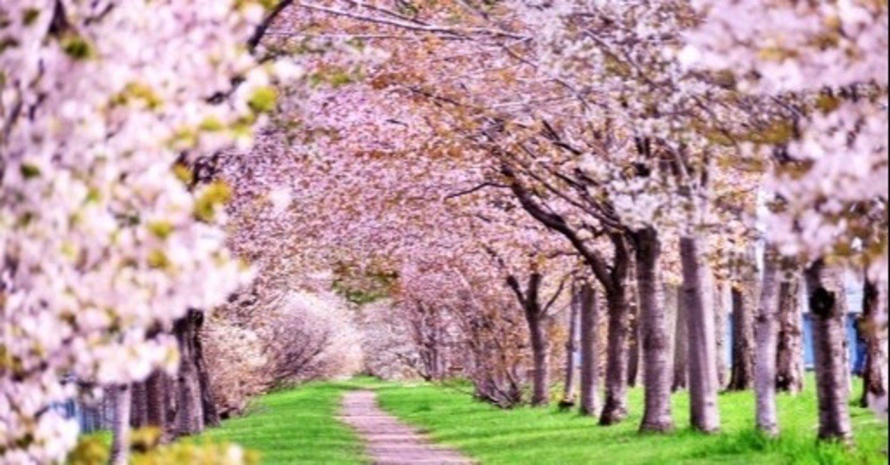 旬な食材 食べ物 春編 ファイナル晩餐 Note