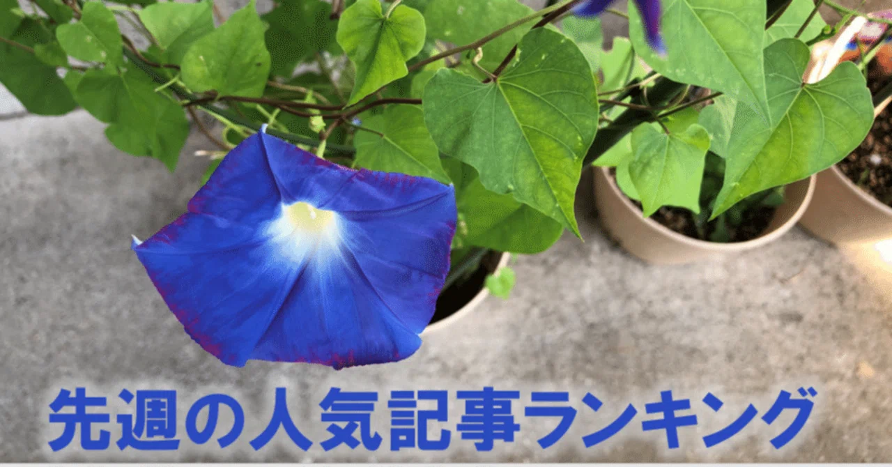 見出し画像