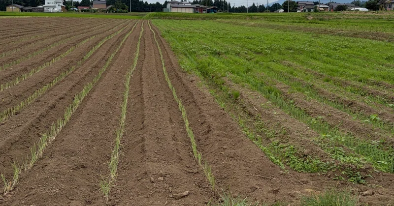 シンロボ農場訪問記 #5 Fz Agri—「ちゃんとやるのが難しい」