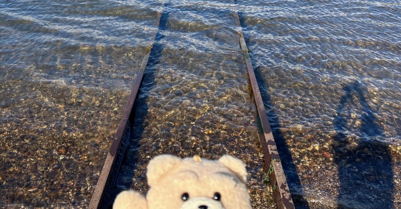 【北海道】まるで千と千尋の世界【湖底線路】阿寒湖に眠る「水中に消える線路」と、息をのむ透明度に出会う旅