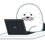阿斗乃真釣