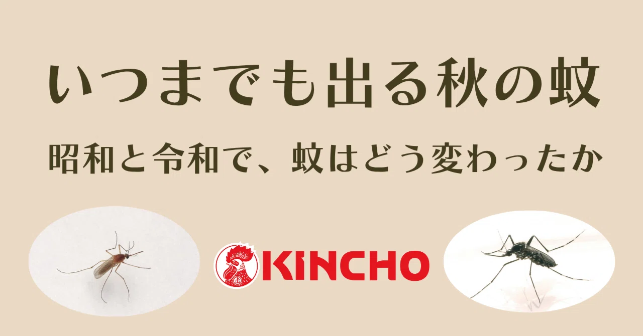 いつまでも出る秋の蚊 ～昭和と令和で「蚊」はどう変わったか｜KINCHO公式note　大日本除虫菊株式会社　金鳥