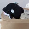 koyu