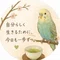 インコ星人|アダルトチルドレン・うつ経験の人事がインコカフェを開く夢を追いかける