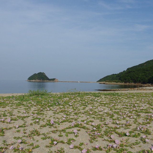 遠手浜at小豆島