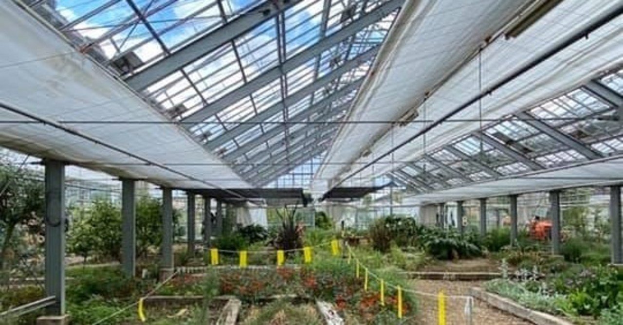 池田町ハーブセンターガラス温室改修工事プロポーザル最優秀 ナノメートルアーキテクチャー Nanometer Architecture Note