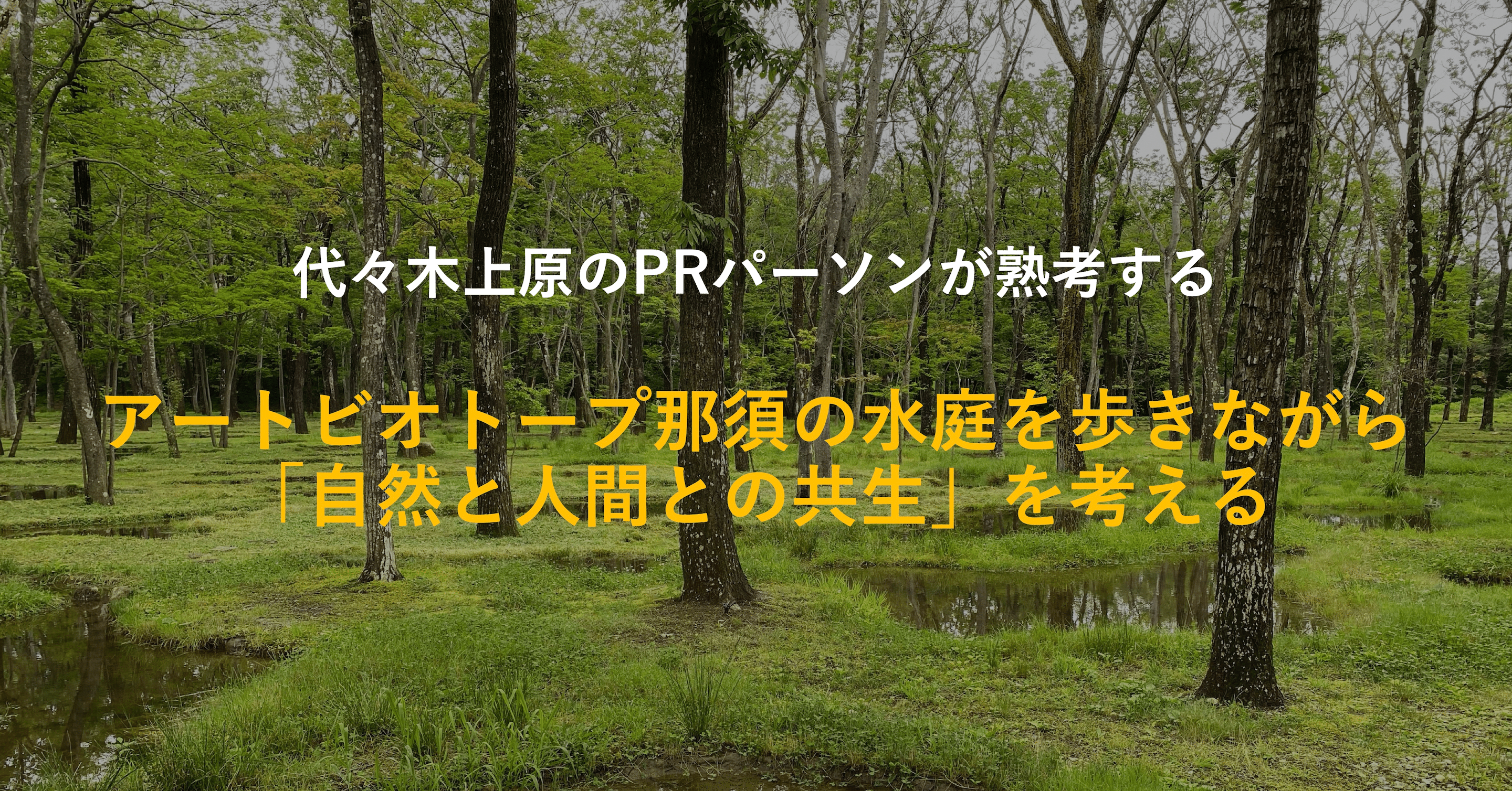 現品 アートビオトープ那須 水庭 ポストカードとブックレット Www Anavara Com