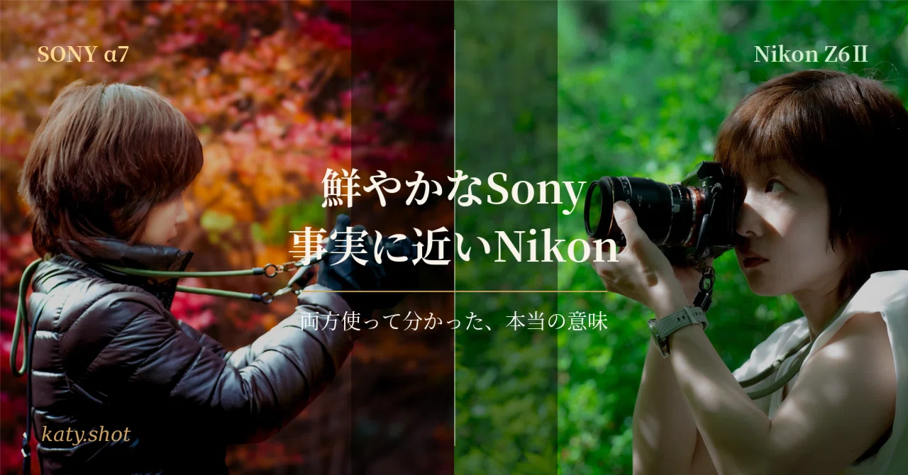 SONY α7とNikon Z6Ⅱ、実際に両方使って分かった「鮮やかなSony・事実