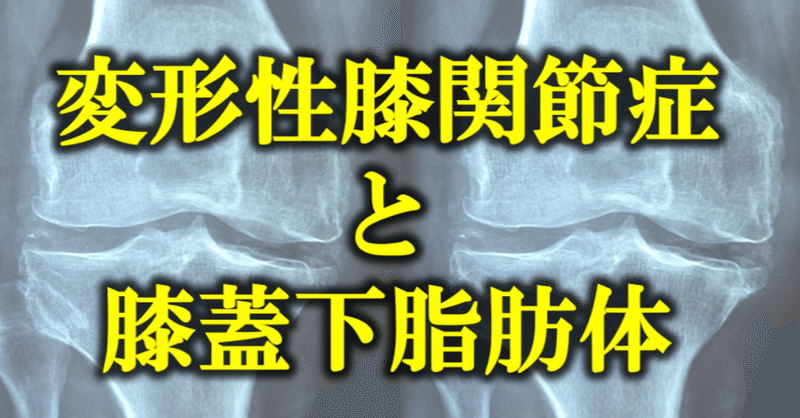 膝蓋下脂肪体 の新着タグ記事一覧 Note つくる つながる とどける 膝蓋下脂肪体 の新着タグ記事一覧 Note つくる つながる とどける
