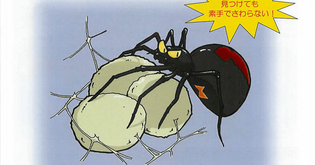 今日のイラスト セアカゴケグモ 近藤敏矢 Note