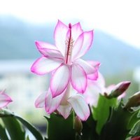 He Is Mineから学ぶカリギュラ効果 ただ話を聞く人 Note