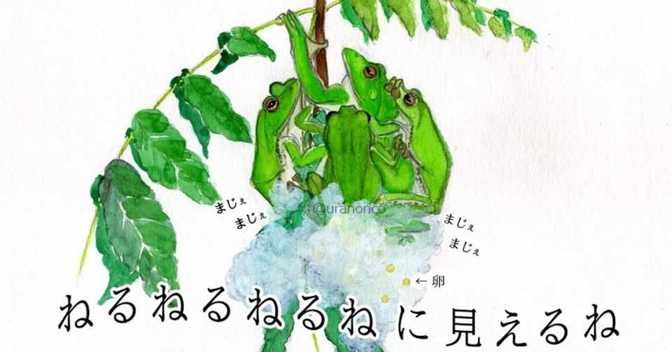 モリアオガエルの産卵を初めて見るまで 最終話 Uran Orico Note