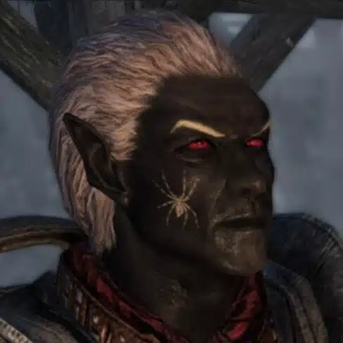 黒公 Skyrim