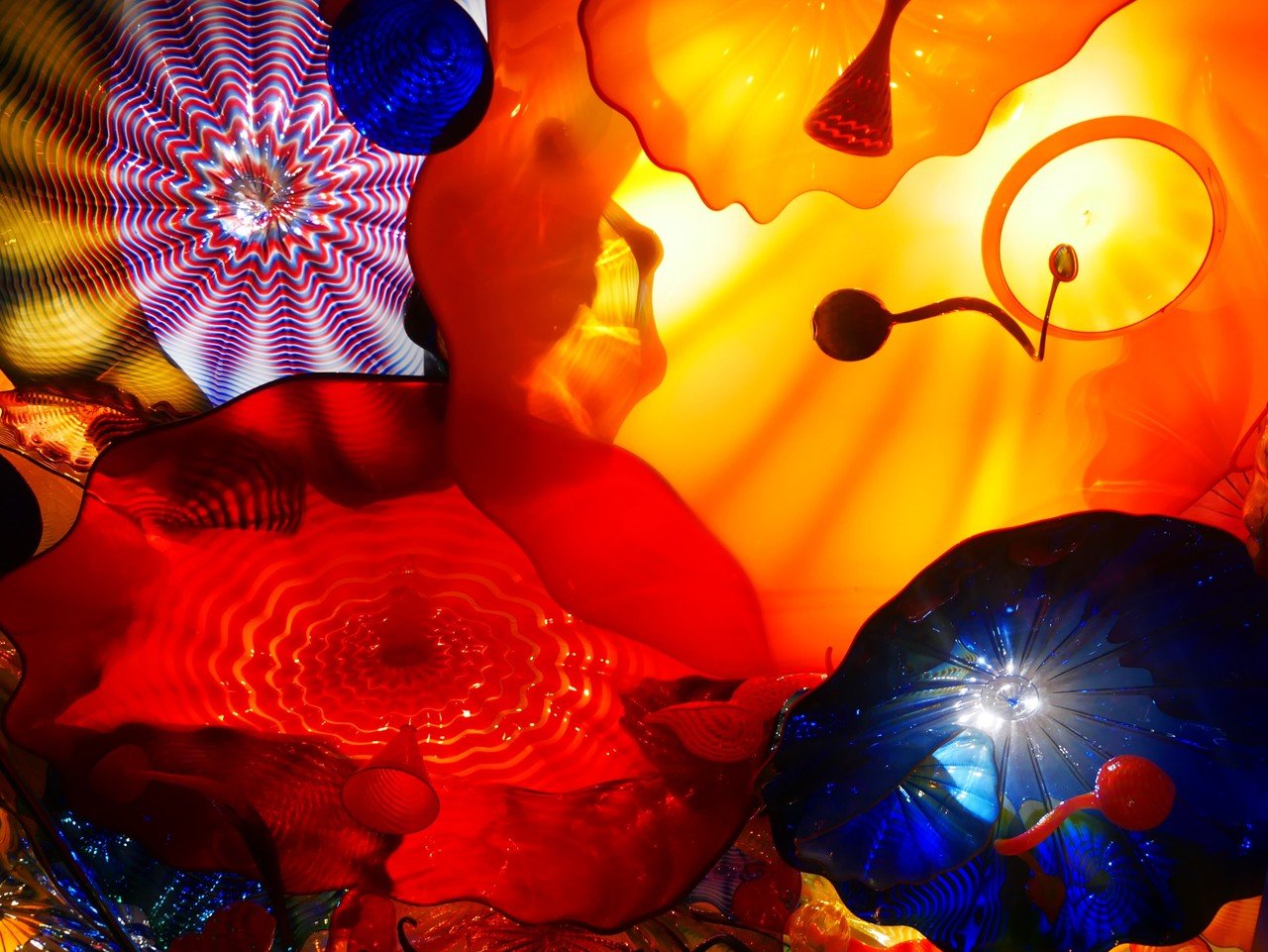 カメラ女子必見】LUMIX Gシリーズで行くシアトル・チフーリ・ガーデン