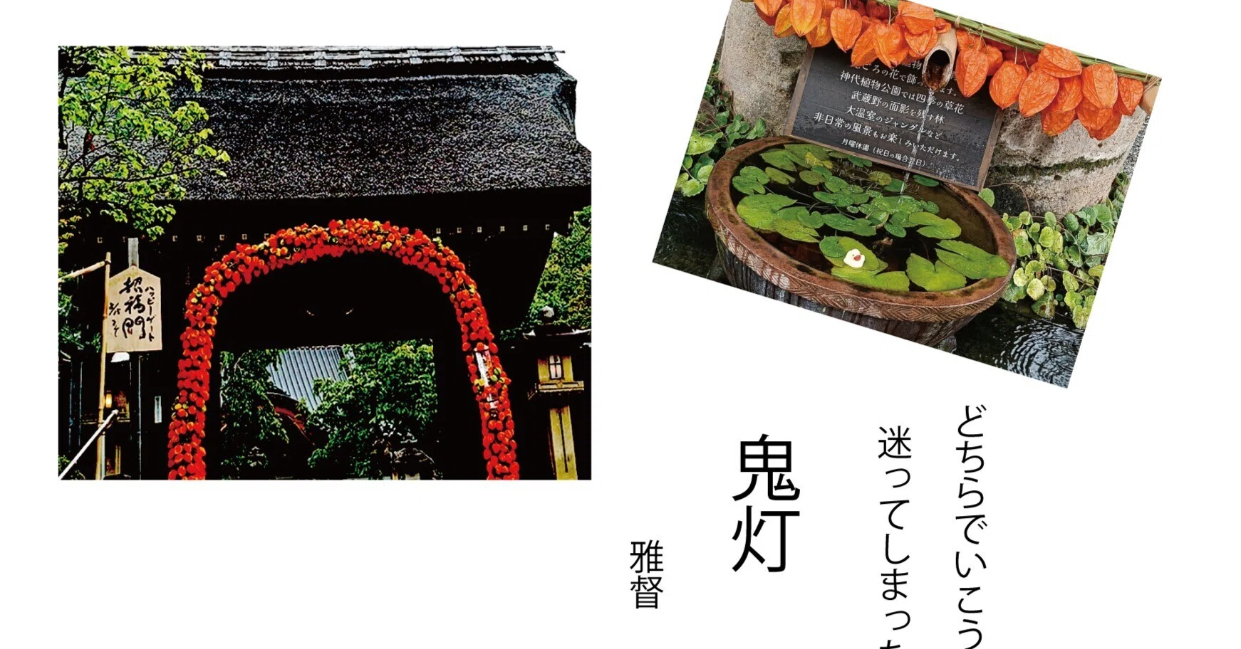 スマホカメラを愉しむ 鬼灯と書いて「ほおずき」と読む どちらの写真で