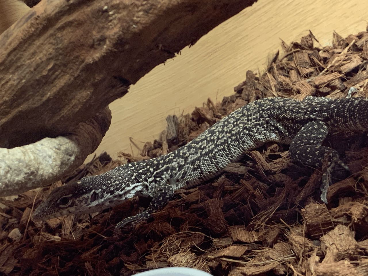 爬虫類ケージ 105×45×45㎝ リクガメ モニター イグアナ 爬虫類ケージ