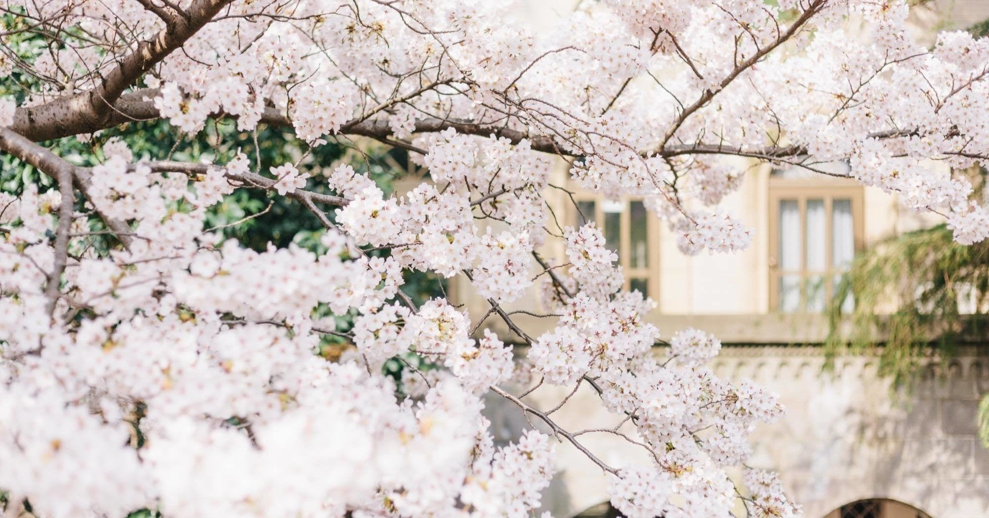 東京工業大学に編入して思ったこと タカギ Note