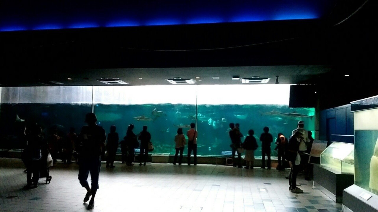 水族館観光記vol 10 観覧時間最長の水族館 須磨海浜水族園 かい Note 水族館観光記vol 10 観覧時間最長の水族館 須磨海浜水族園 かい Note