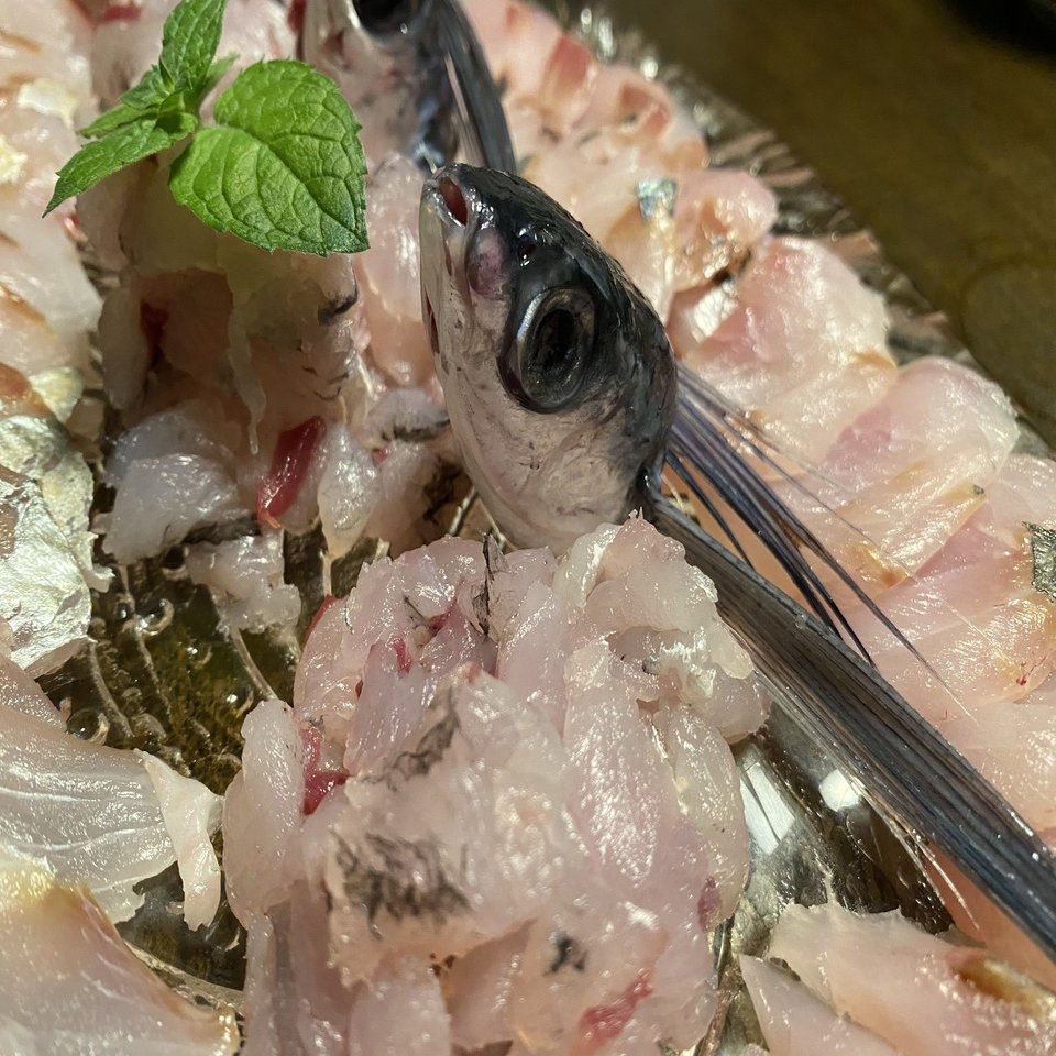 躍動的なトビウオの刺盛り｜Noriaki Kawanishi