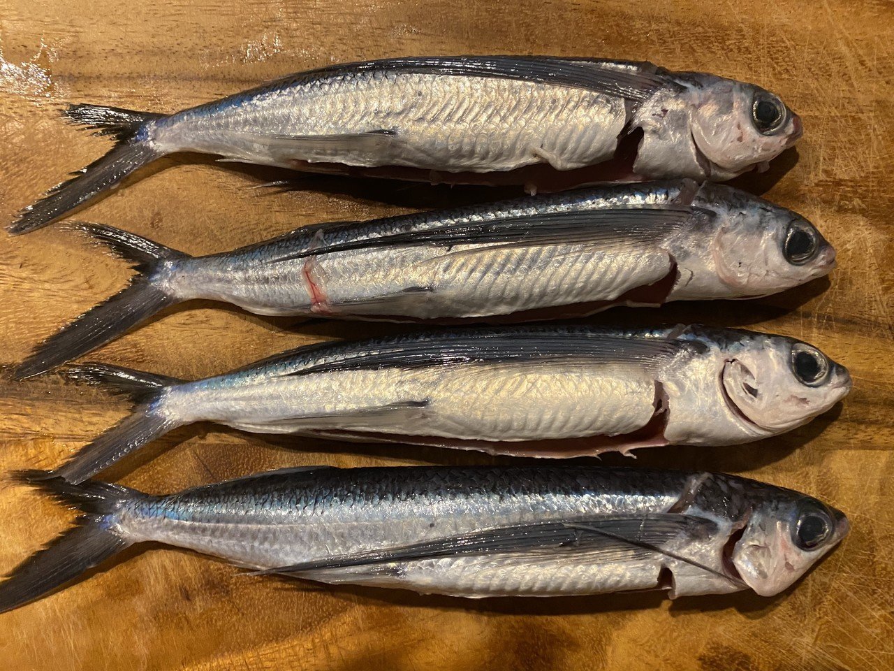 躍動的なトビウオの刺盛り Noriaki Kawanishi 田舎暮らしデザイナー Note 躍動的なトビウオの刺盛り Noriaki Kawanishi 田舎暮らしデザイナー Note