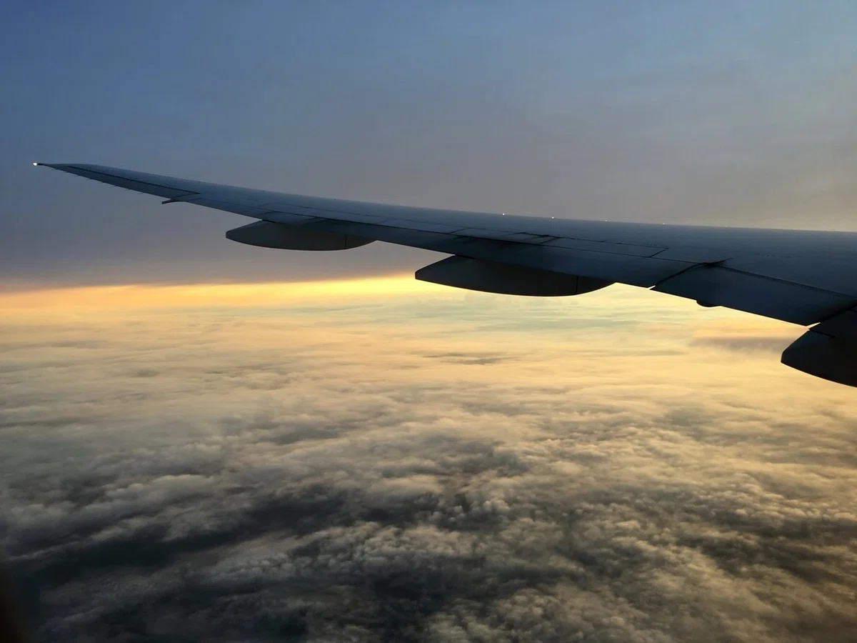 画像12