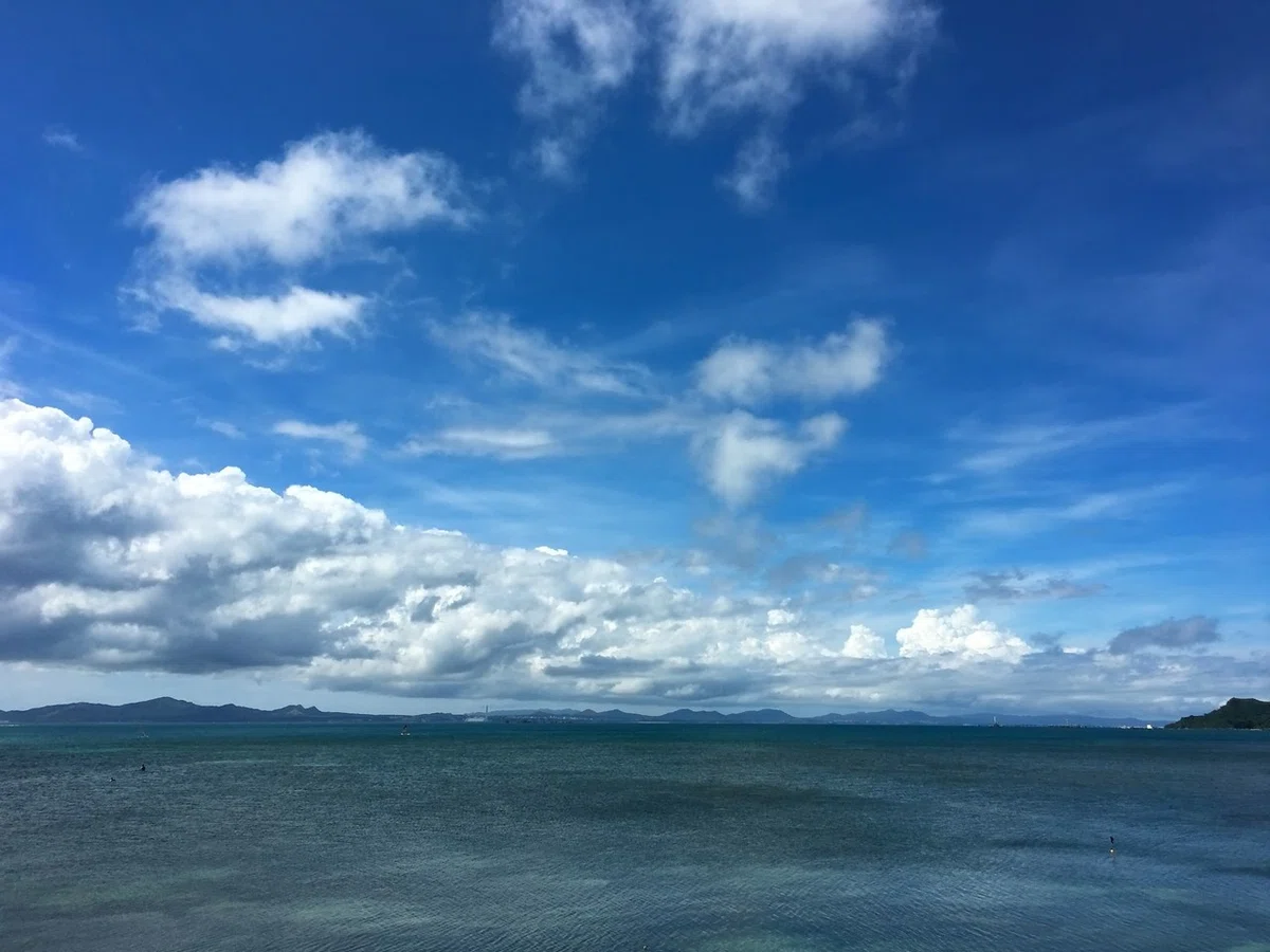 画像27