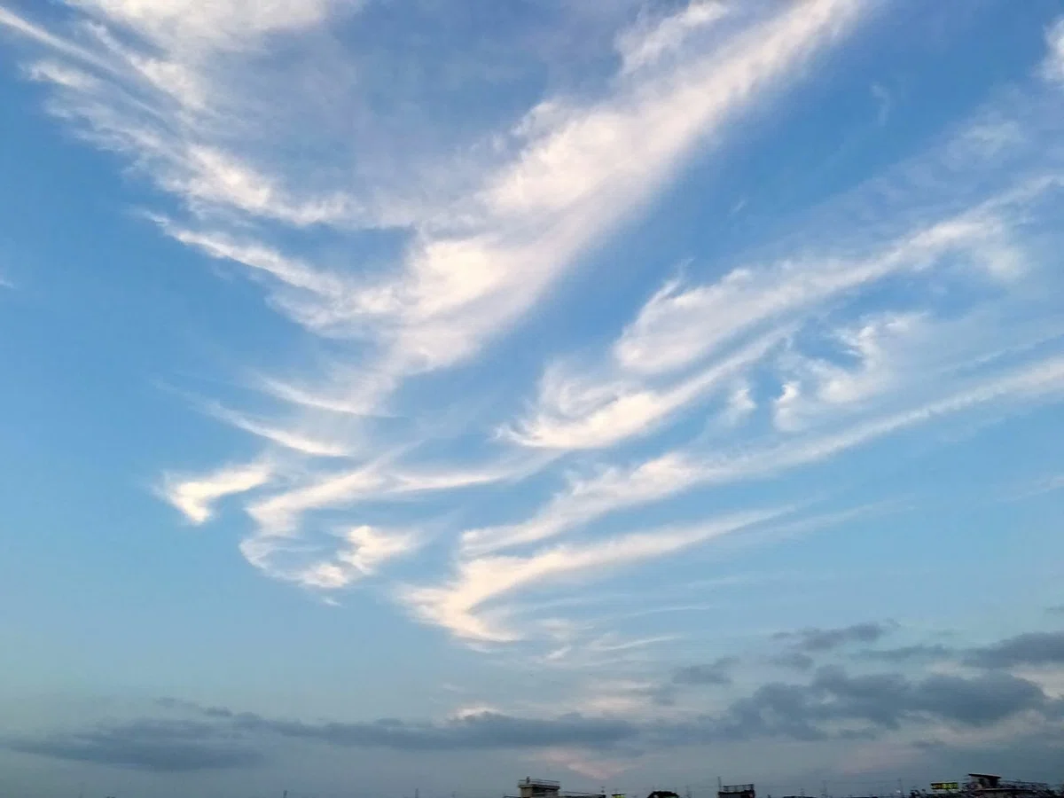 画像33