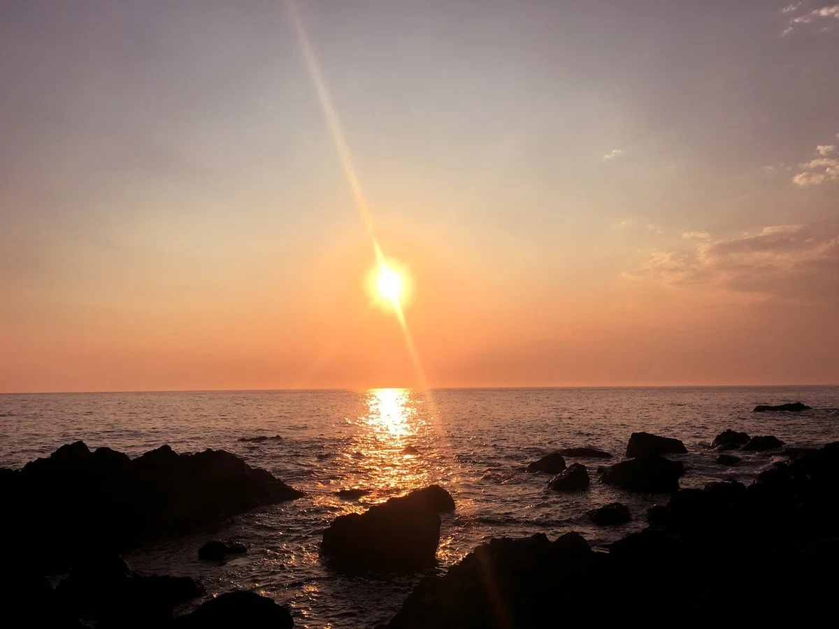 画像36