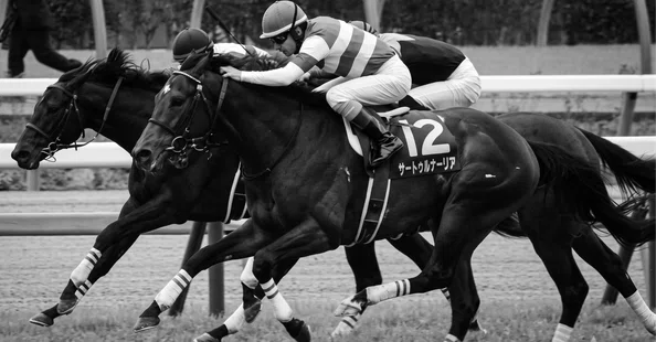 母なる血の軌跡 — シーザリオの血を引く競走馬たち｜かぶらやおー｜note