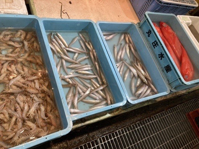 鼻を使った目利きもある おさかなマイスター神谷 Note