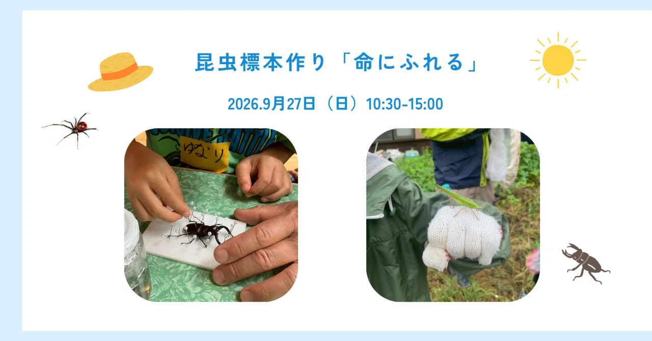 昆虫標本づくりで、命にふれる｜「星の時間」八ヶ岳の子どもと大人の
