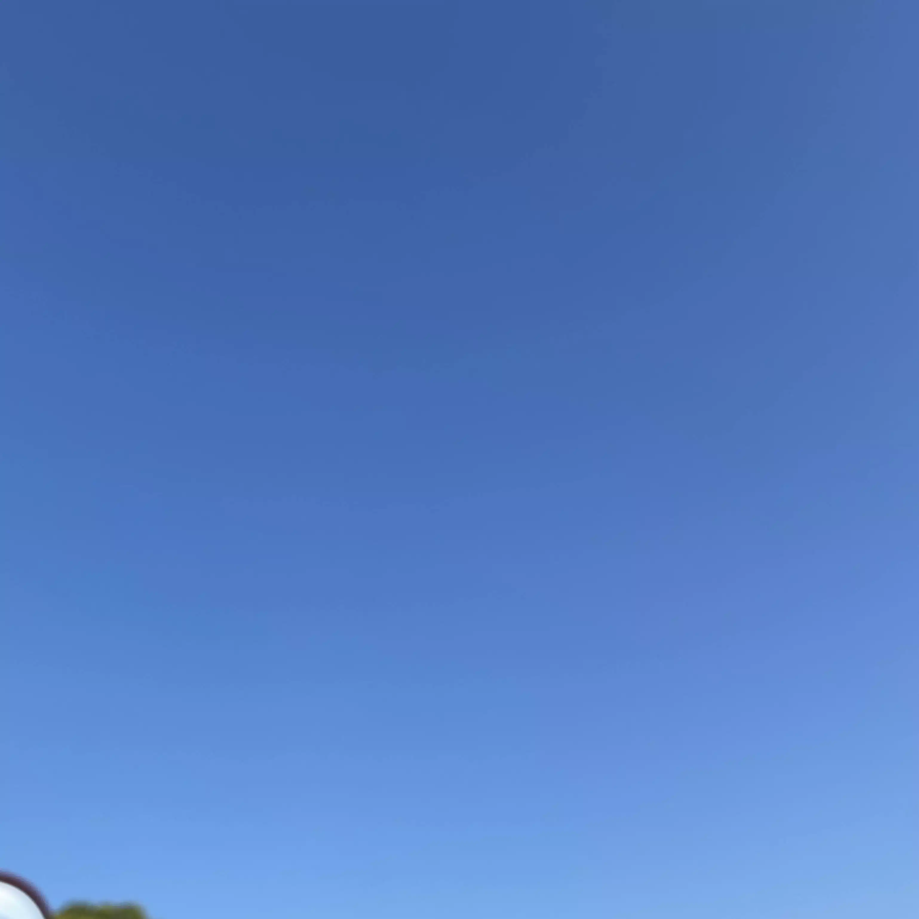 まめた